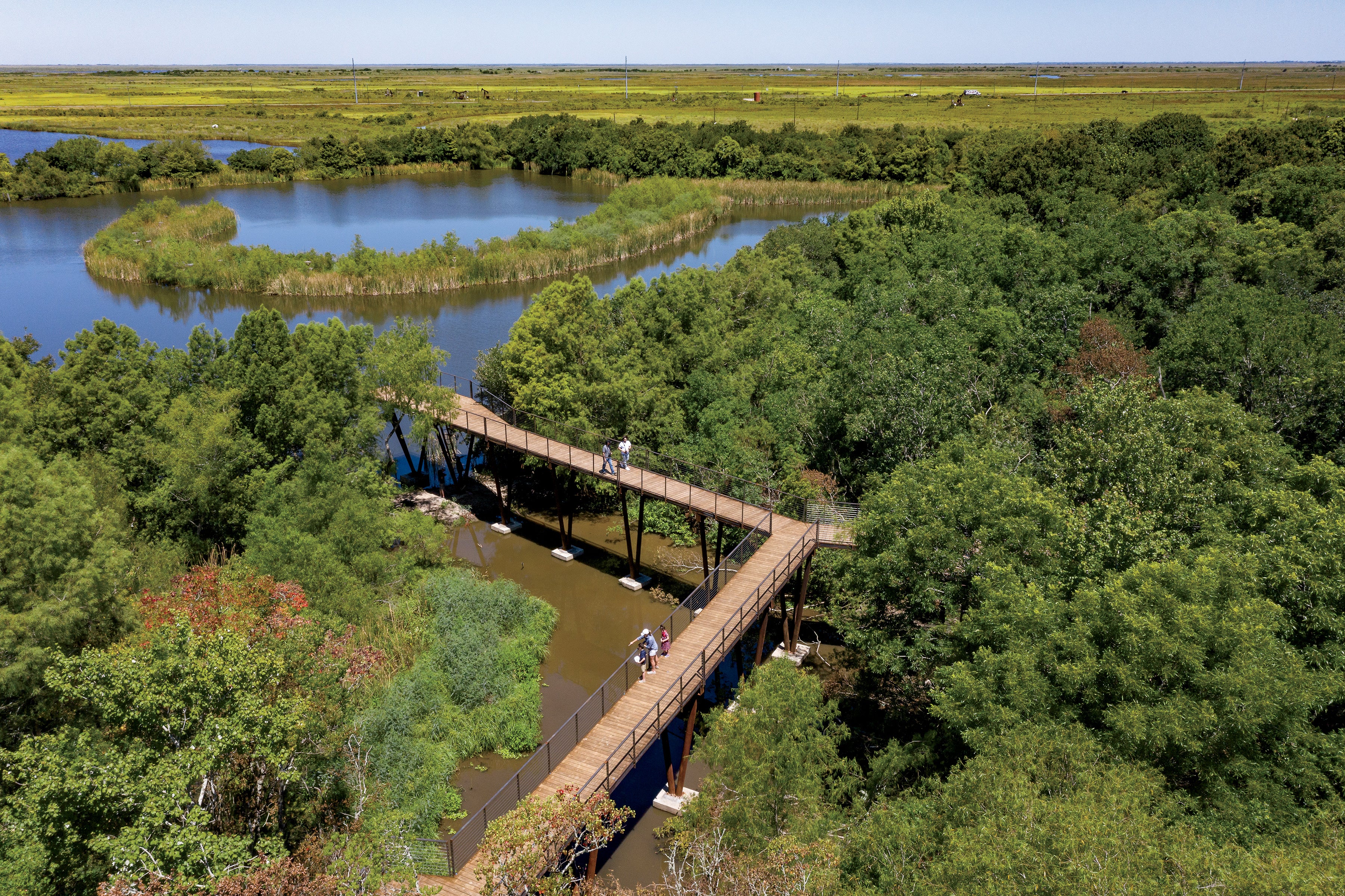 Aerial landscape of an elevated boardwalk zigzagging through a lush green wetland.